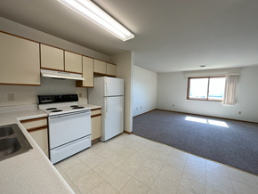 Forest City apartment for rent - a kitchen and living room in an apartment