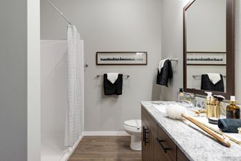 Modern bathroom layouts