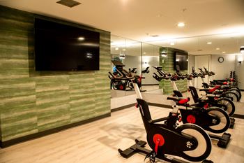 Peloton bikes