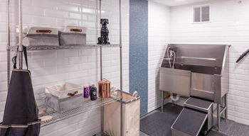 A small bathroom with a sink and a dog in it