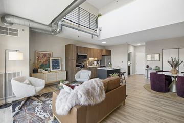 Minneapolis apartment for rent - A white fluffy cat is sitting on a brown couch in a modern living room.