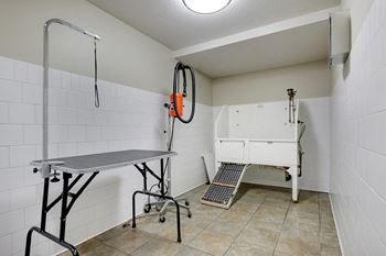 Dog wash area