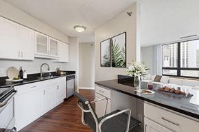St. Paul apartment for rent - Kitchen at Galtier Towers Apartments, St. Paul, MN, 55101