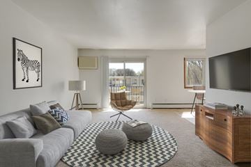 Roseville apartment for rent - a living room with a gray couch and a rug and a television
