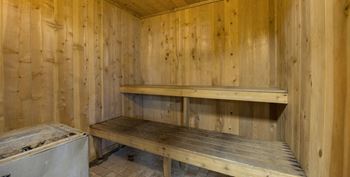 Medicine lake apartments sauna