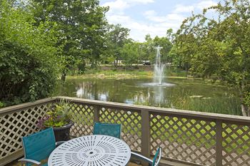 Regency woods nature