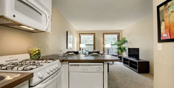Ridgewood arches kitchen
