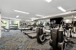 Lilydale apartment for rent - Fitness Center With Modern Equipment at The Riverwood, Lilydale, MN, 55118