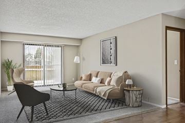 Plymouth apartment for rent - a living room with a beige couch and a black and white rug