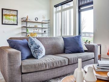 St. Louis Park apartment for rent - a living room with a couch and pillows on it