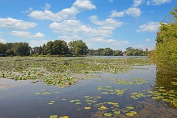 Lakeside community