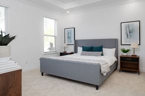 Chattanooga townhouse for rent - A bedroom with a large bed and a plant on the side table.