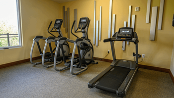 Exercise bikes in a fitness room