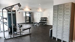 Brookfield apartment for rent - a home gym with weights and other exercise equipment