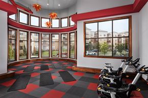 Brookfield apartment for rent - A gym with a row of stationary bikes and a checkered floor.