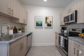 Buffalo apartment for rent - A kitchen with a black stove top oven and a sink.