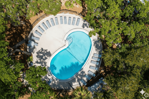 Tampa apartment for rent - A heart-shaped pool surrounded by trees.