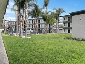 Fullerton apartment for rent - A grassy area in front of a building with palm trees.