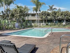 Fullerton apartment for rent - A pool surrounded by palm trees and a building in the background.