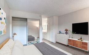 Fullerton apartment for rent - 1 Bedroom of Nutwood East Apartments