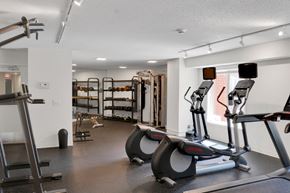 Eden Prairie apartment for rent - A gym with a variety of equipment including treadmills, weights, and a squat rack.