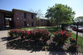 Austin apartment for rent - Flowers Beautiful Landscaping
