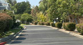 Santa Rosa apartment for rent - Beautiful Landscaping