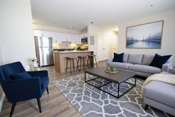 Milford apartment for rent - A modern living room with a blue chair and grey couch.