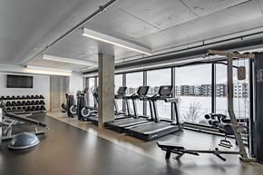 Seton apartment for rent - A gym with treadmills, weights and exercise equipment.