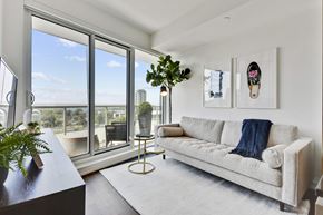 Toronto apartment for rent - A living room with a couch, a potted plant, and pictures on the wall.