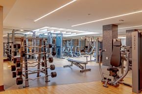 Toronto apartment for rent - A gym with a variety of equipment including a leg press machine.