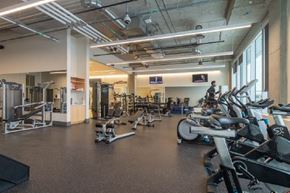 Winnipeg apartment for rent - A gym with a variety of exercise equipment including treadmills, weights, and exercise machines.