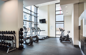 Calgary apartment for rent - A gym with a row of dumbbells on the left and a row of exercise bikes on the right.
