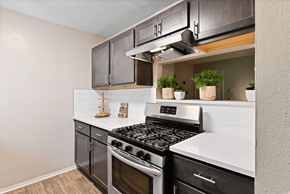 Austell apartment for rent - A modern kitchen with a stove top oven and a range hood.