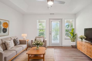 Charlotte apartment for rent - A living room with a grey couch, a wooden coffee table, a television, and a painting on the wall.