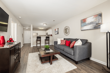 Charlotte apartment for rent - A living room with a grey couch and a coffee table.