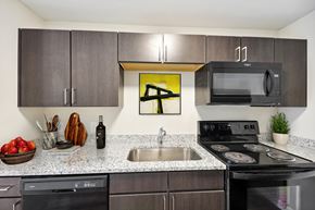 Atlanta apartment for rent - A modern kitchen with a black stove top oven and a black microwave above the sink.