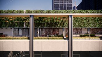 Rooftop decks
