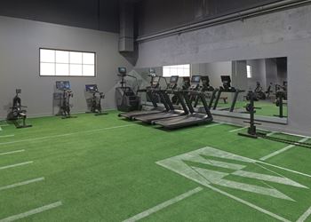 A gym with a green floor