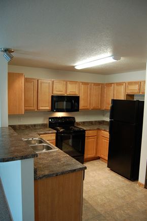 West Des Moines apartment for rent - a kitchen with wood cabinets and black appliances