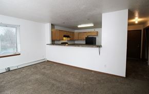 Des Moines apartment for rent - an empty living room with a kitchen in the background