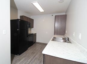 Des Moines apartment for rent - a kitchen with a black refrigerator freezer and a sink