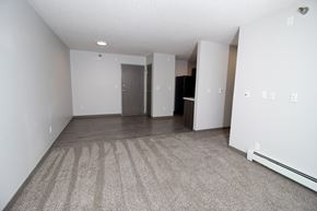 Des Moines apartment for rent - an empty living room with a carpeted floor and white walls