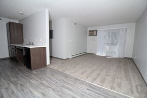 Des Moines apartment for rent - an empty living room with a kitchen in the background