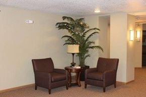 Des Moines townhouse for rent - Two brown chairs are placed in front of a plant.