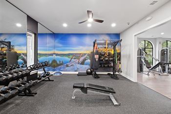 Fitness center with free weights and functional training equipment