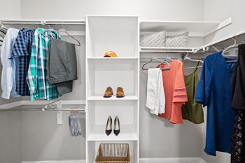 Walk-in closet with organized storage and shelving