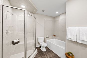 Modern bathroom with shower and soaking tub