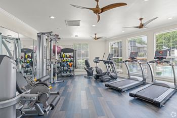 The gym has plenty of cardio equipment and windows