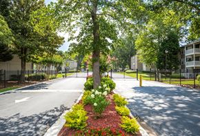 Marietta apartment for rent - a tree in the middle of a street next to a building